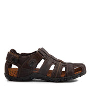 VARIANT:BROWN