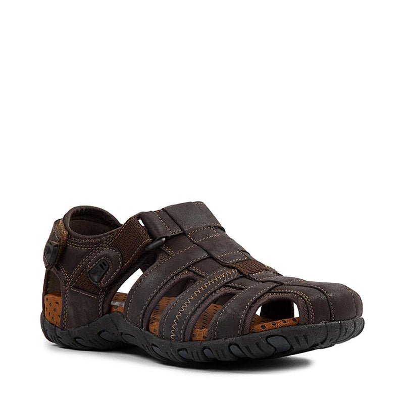 VARIANT:BROWN