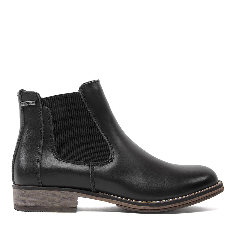 VARIANT:BLACK