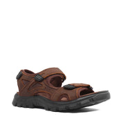 VARIANT:BROWN 