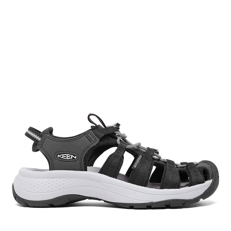 VARIANT:BLACK 