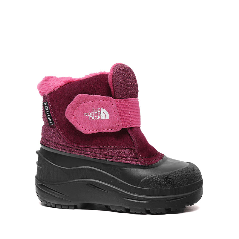 VARIANT:BOYSENBERRY