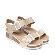 VARIANT:CREME MULTI
