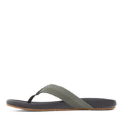 VARIANT:OLIVE GUM