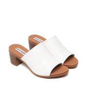 VARIANT:WHITE