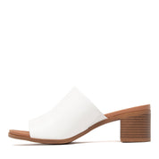 VARIANT:WHITE
