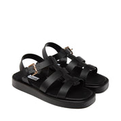 VARIANT:BLACK