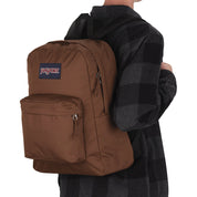 VARIANT:BAISC BROWN