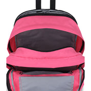 VARIANT:POSH PINK