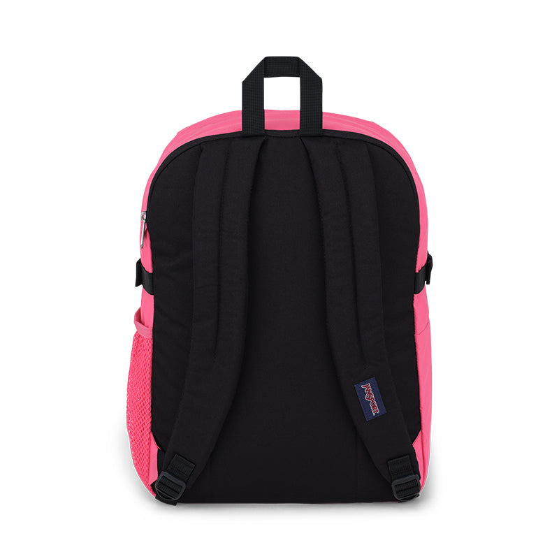 VARIANT:POSH PINK