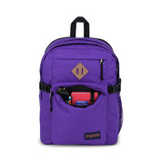 VARIANT:PARTY PLUM