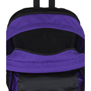 VARIANT:PARTY PLUM