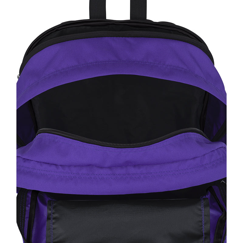 VARIANT:PARTY PLUM