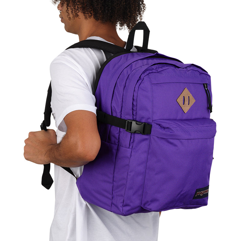 VARIANT:PARTY PLUM