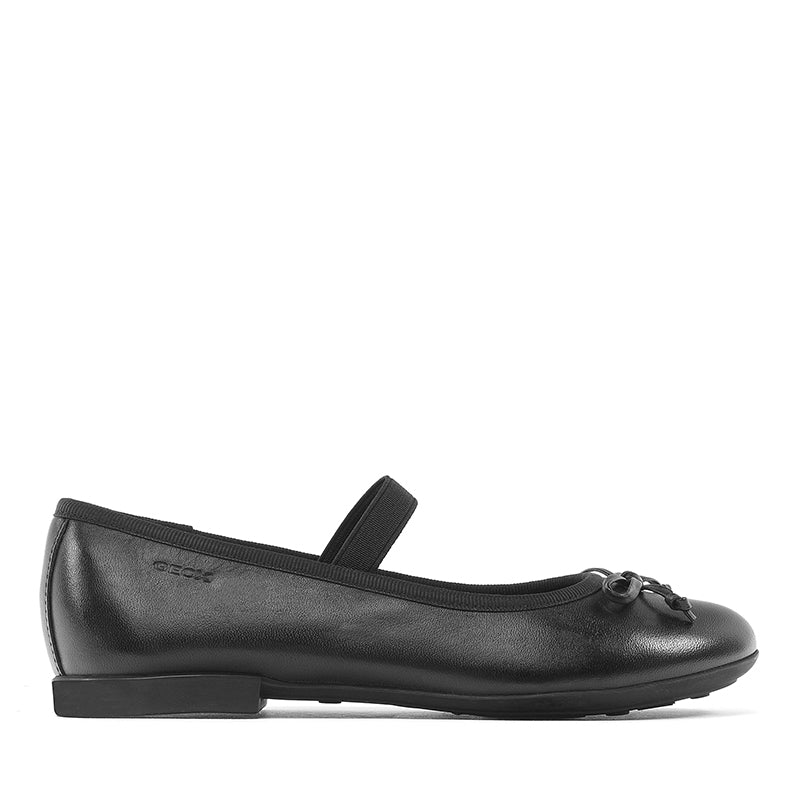 VARIANT:BLACK