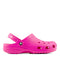 VARIANT:DRAGON FRUIT