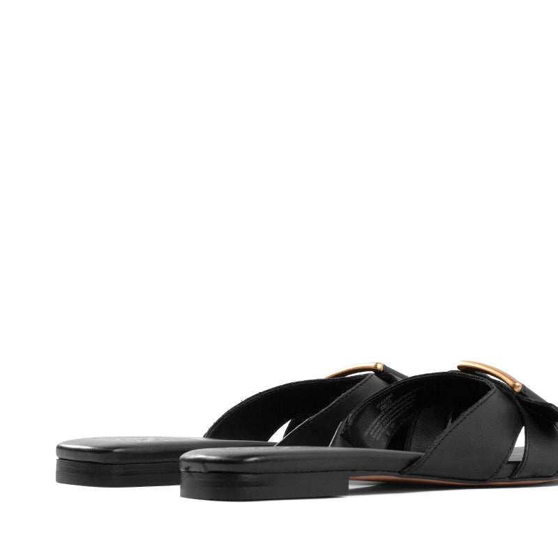 VARIANT:BLACK